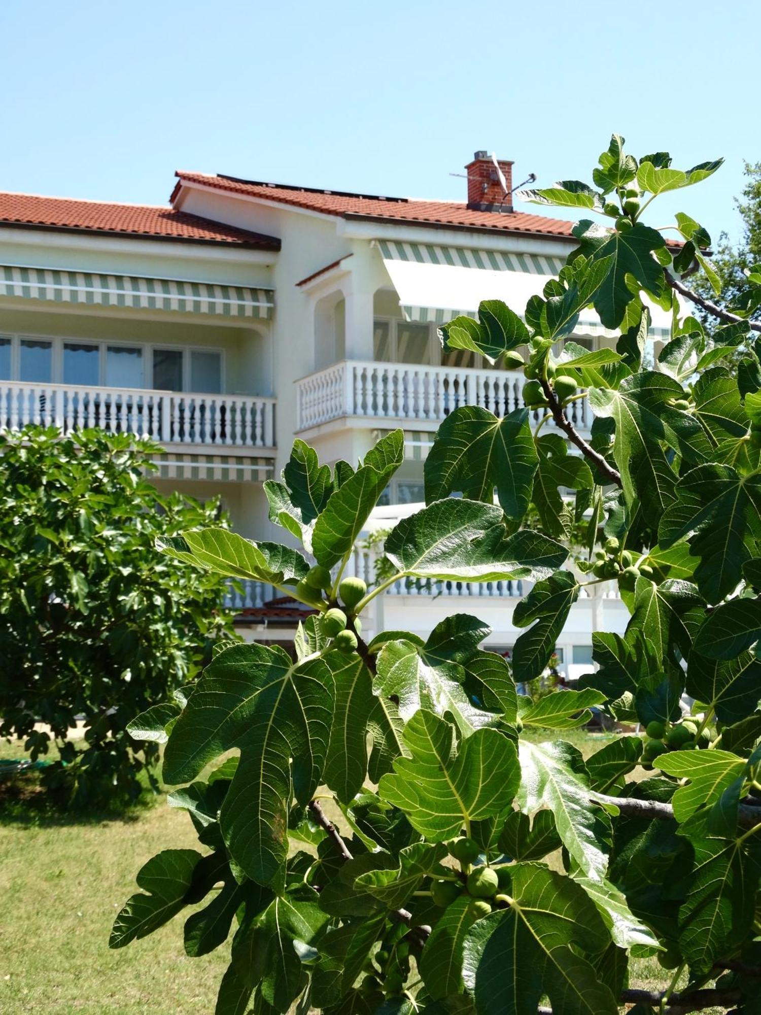 Apartments Gorancica Malinska Exterior photo